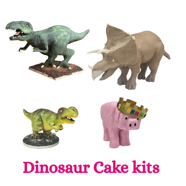 Dinosaur cake kits